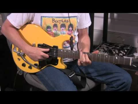 Lindy Fralin Pure PAF Set Zebra - Image 2