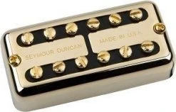 Seymour Duncan Psyclone Hot Neck